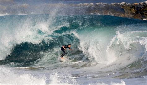 The Wedge Californias Mutant Wave The Inertia