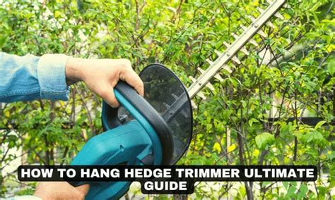 How To Hang Hedge Trimmer