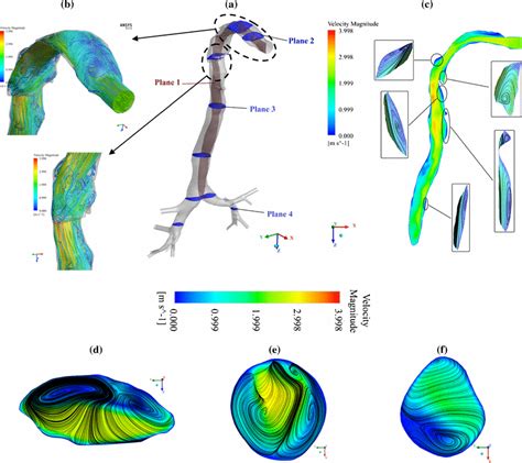 3d And 2d Instantaneous Velocity Streamlines And Contours At Different