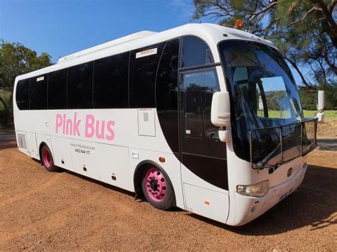 Welcome to Pink Bus Tours | Pink Bus Tours