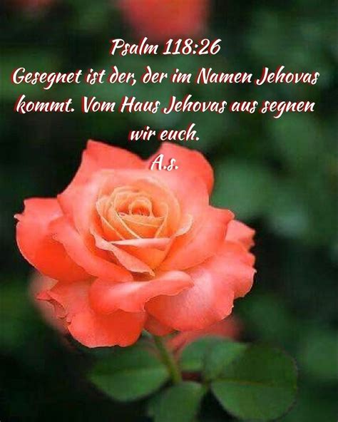 Pin Von Ani Lili Jw Auf Bibel Text Jw Org Ani Lili Jw Psalm