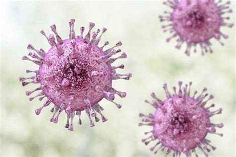 Cytomegalovirus Cmv Symptoms Diagnosis Treatment Prevention