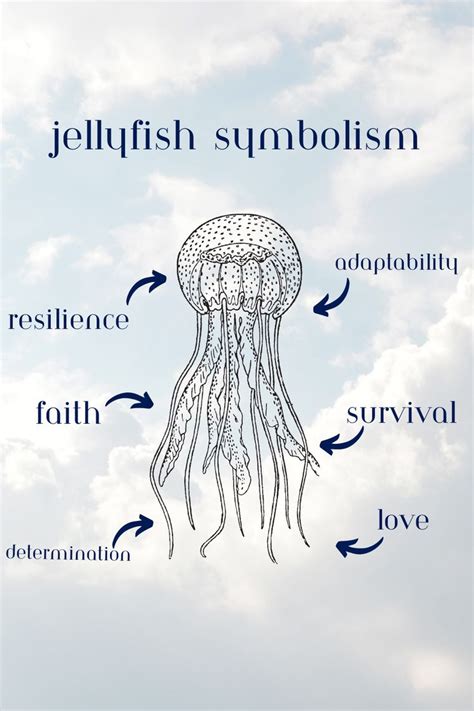 An Image Of Jellyfish In The Sky With Words Below It That Read