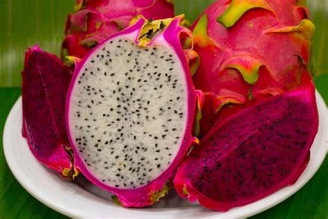 Como Fazer Uma Planta O De Pitaya Em Pouco Espa O Aprenda Esta