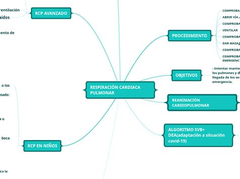 Respiraci N Cardiaca Pulmonar Mind Map The Best Porn Website