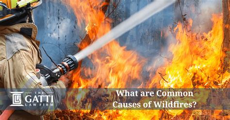 What Are Common Causes Of Wildfires The Gatti Law Firmthe Gatti Law Firm