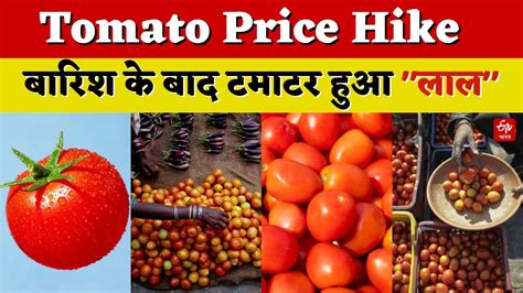 Tomato Price Increased मानसून की धमक से टमाटर हुआ लाल बढ़े दाम ने लोगों का बजट बिगाड़ा