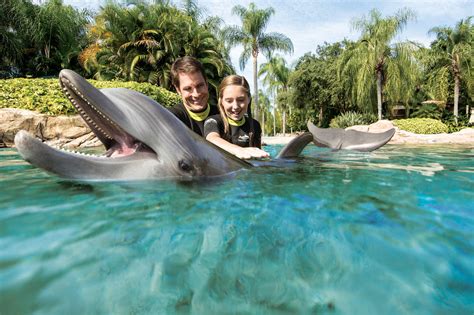 Swim With Dolphins at SeaWorld's Discovery Cove - Tallahassee Magazine