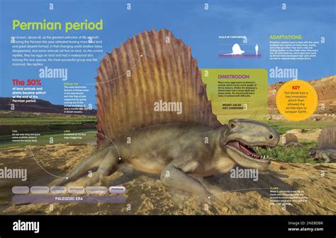 Infographic Of The Environmental Conditions And The Animals Of The