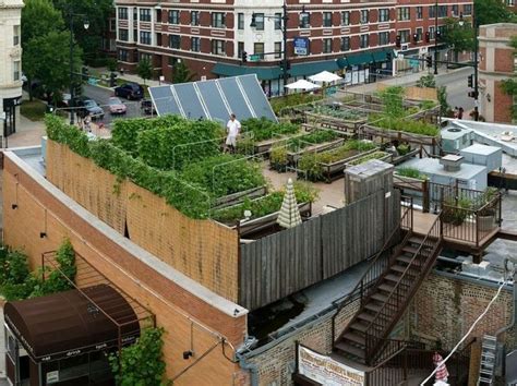 Rooftop Farming Is Getting Off The Ground Green Roof Luxury Garden