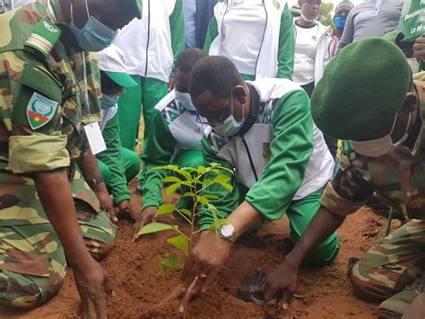 Journée nationale de larbre 2023 au Burkina Plus de 60 000 plants