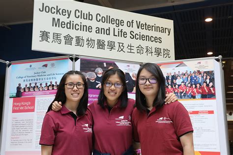 Bachelor Of Veterinary Medicine Jockey Club College Of Veterinary