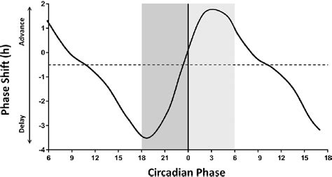 Phase response curve for light. A reference phase response curve (based... | Download Scientific ...