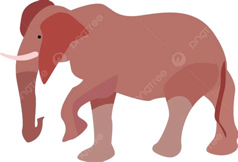 Big Elephantillustrationvector On White Background African Illustration