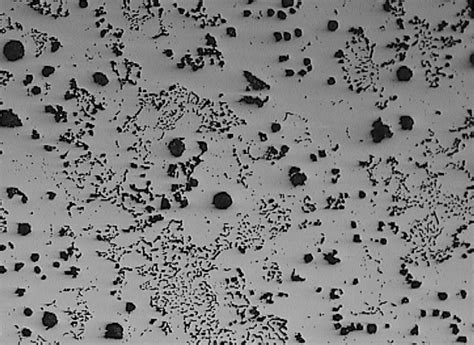 Defects In Dcis Chunky Graphite X200 Courtesy Of Zanardi Fonderie Download Scientific