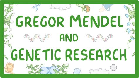 Genetics And Heredity Mendel