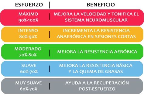 Calcula Tus Frecuencias De Entrenamiento