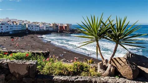 10 Amazing Things To Do in Tenerife Cruise Port + Insider Guide