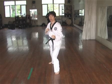 Dollyeo Chagi Turning Kick