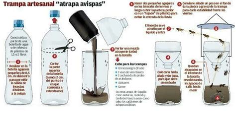 Como hacer una Trampa Casera para Avispas Explicado Fácil