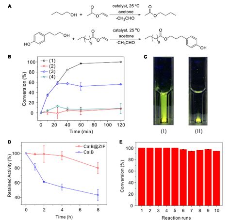 Figure 3 From Facile Synthesis Of Enzyme Embedded MetalOrganic