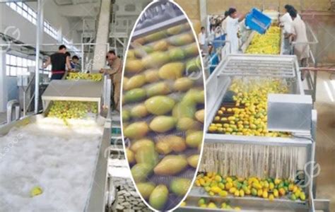 Automatic Mango Pulp Production Line For Fruit Pulp Processing