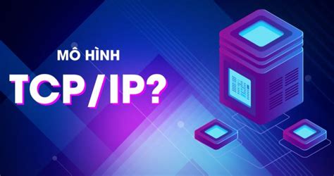 Mô Hình TCP IP Là Gì Tìm Hiểu Về Giao Thức TCP IP Final Blade