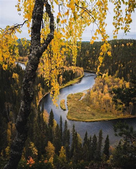 Autumn in Finland | MATTHEW'S ISLAND