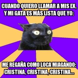 Meme Anxiety Cat Cuando Quiero Llamar A Mis Ex Y Mi Gata Es M S