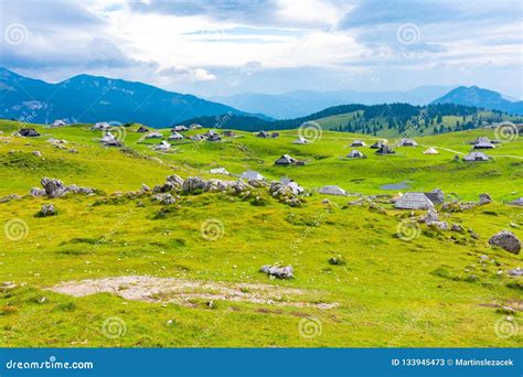 slovenia velika planina big plateau agriculture pasture land  city