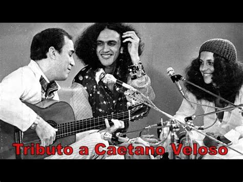 Tributo A Caetano Veloso Youtube