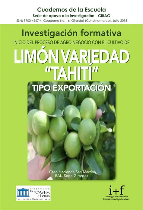 Cuaderno Sideal Cultivo De Lim N Variedad Tahit Pdf Descarga