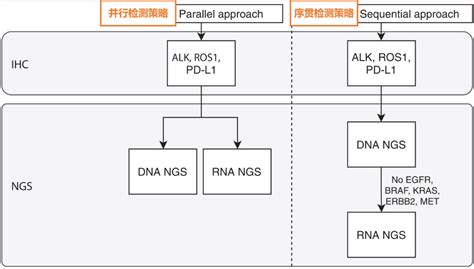 Dna Ngs与rna Ngs检测融合基因临床意义的对比 知乎