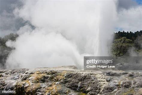 Te Whakarewarewa Thermal Valley Photos and Premium High Res Pictures ...