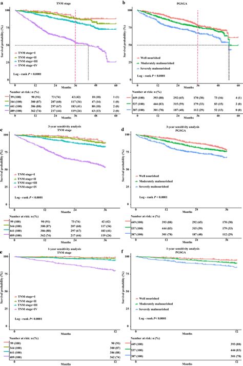 Identification Of Prognostic Indicators In CRC Using LASSO And Cox