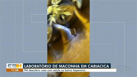 V Deo Pol Cia Apreende Mais De P S De Maconha Em Casa No Es