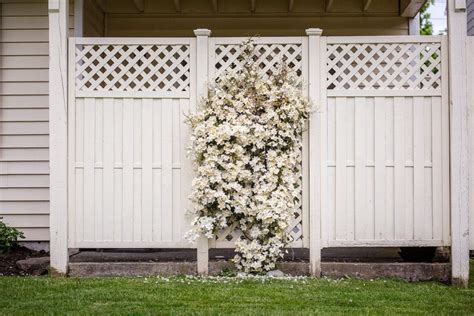 Choisir Le Bon Grillage Rigide Pour Loccultation De Votre Jardin E