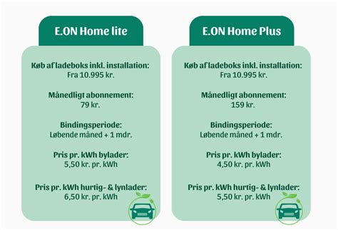 E On Eller Clever Vi Guider Dig Til Den Rette Ladel Sning