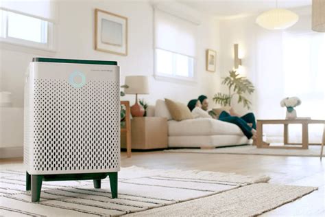 The Best Air Purifiers For Mold In Artofit