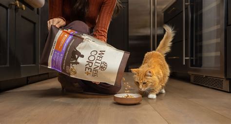 Dry Cat Food | Wellness Pet Food