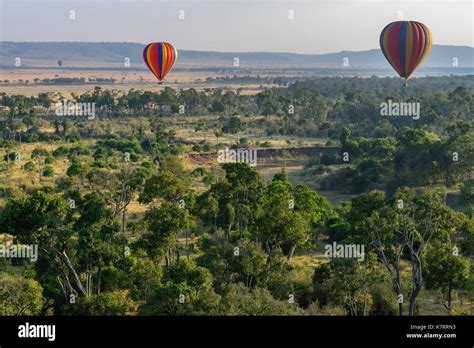 Hot Air Ballon Over The Masai Mara Preserve In Kenya During The Great Migration Stock Photo Alamy
