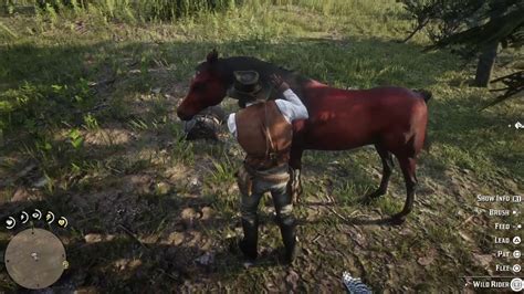 Rdr2 New Horse Youtube