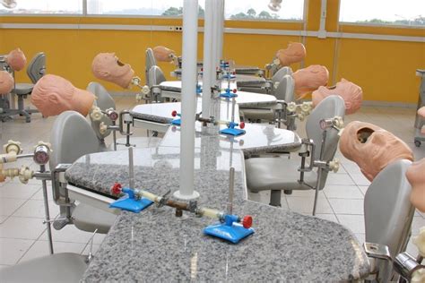 Laborat Rio De Odontologia Usp Imagens