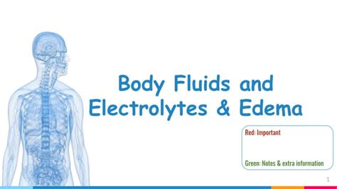 Body Fluids And Electrolytesedemapdf