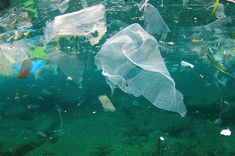 These Are The Plastic Items That Kill Marine Animals Most Often