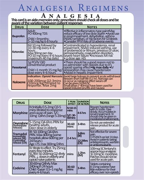 Analgesia Pain Relief Medical Nursing Lanyard Reference Card Ebay