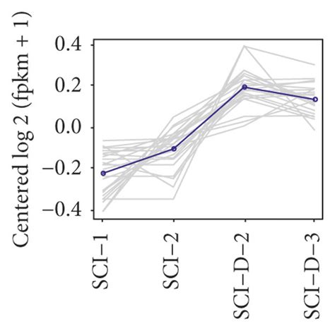 Cluster Analysis Of DEGs Between Each Spinal Cord Sample A