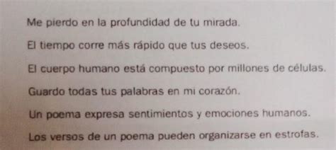 Los Versos De Un Poema Pueden Organizarse En Estrofas Sentido Literal O