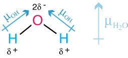 What is the dipole moment of water? | Socratic