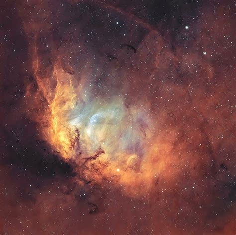 Reportereletronico On Twitter Rt Maiz Julio Tulip Nebula And